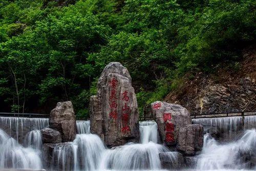 燃烧吧大脑装瓶子游戏